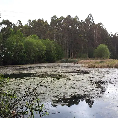 A (adults Only) 2* Barreiros