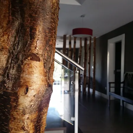 Hotel A (adults Only) Barreiros