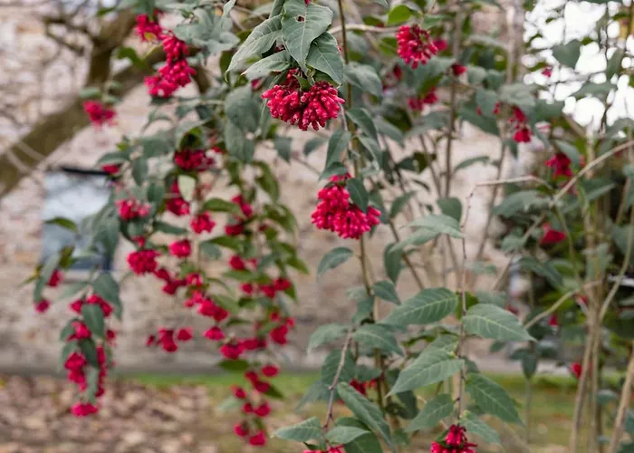 A (adults Only) Отель
